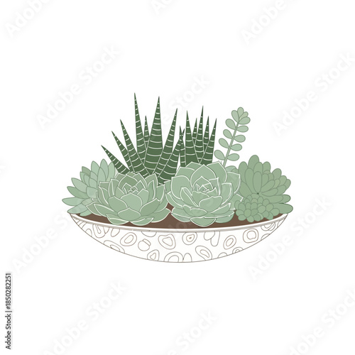 Serene succulent garden arrangement in an off-white container, a refreshing aesthetic design