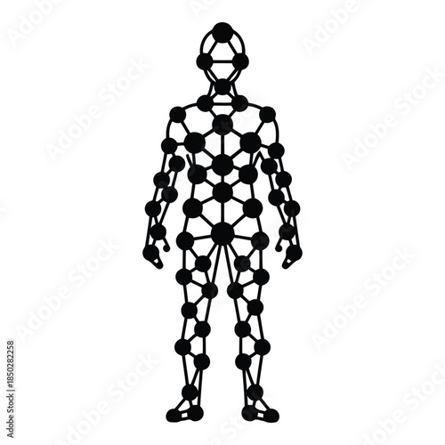 Abstract human skeleton isolated on white background, Vector