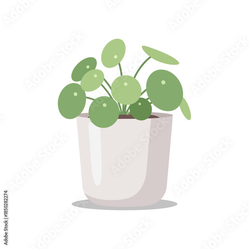 Charming flat design of a chinese money plant in a white pot creating a serene indoor atmosphere