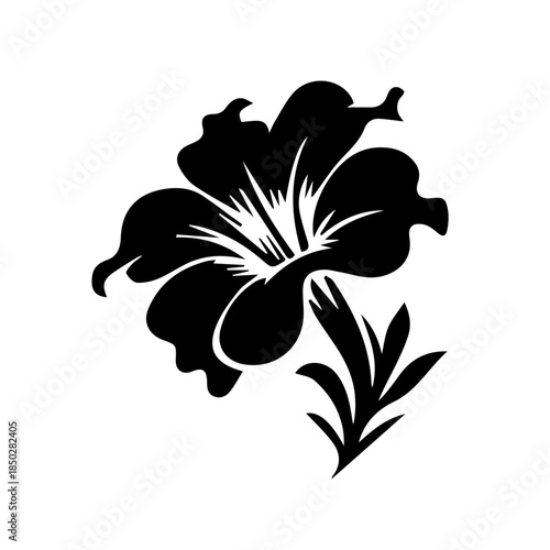 Petunia black and white flower