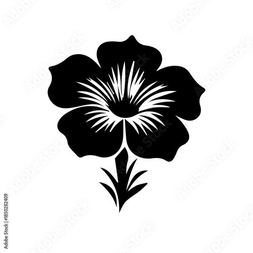 Petunia black and white flower