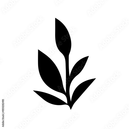 Petunia black and white flower