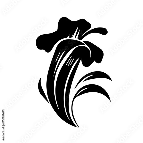 Petunia black and white flower