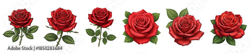 A vibrant assortment of captivating red roses, each in full bloom, meticulously captured. valentines day. vector illustration