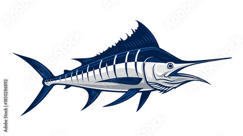 Vibrant Blue Marlin Fish Illustration, Majestic Ocean Predator, Powerful Big Game Fishing Vector Art on White Background