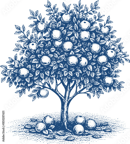 Vintage illustration of an apple tree laden with fruit on a grassy mound apples harvest