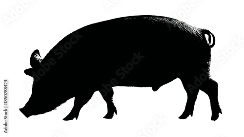 Black pig silhouette isolated on white background, farm animal vector illustration. Generic livestock hog icon.