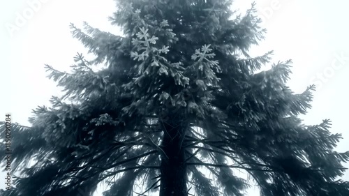 Winter Tree Majesty - A Snowy Forest Scene in Serene Detail.