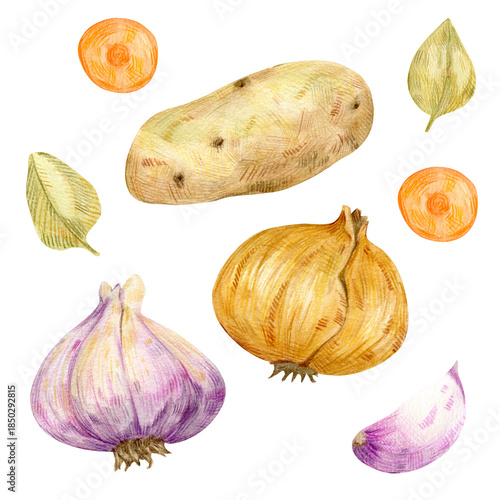 Watercolor composition of essential root vegetables including whole Potato, yellow Onion bulb, purple Garlic cloves, Carrot slices, and dried bay leaves on transparent  background for kitchen