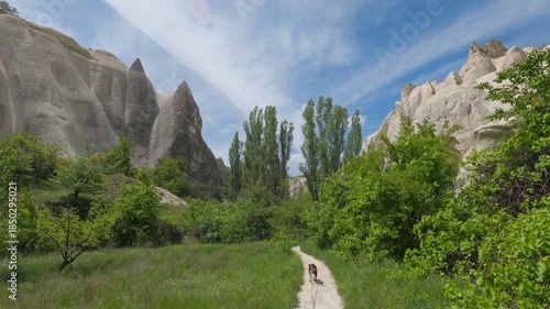 Dog walking on a dirt path enjoying the unique landscape of Love Valley in Cappadocia, Turkey