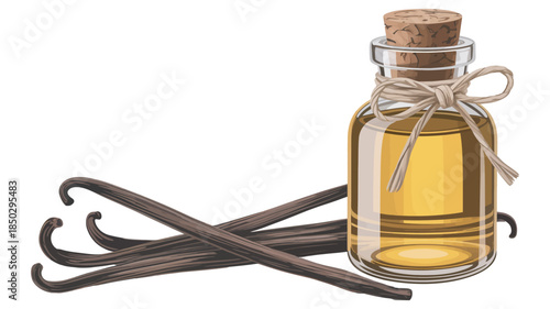 Vanilla Extract Bottle with Dried Beans Isolated on White