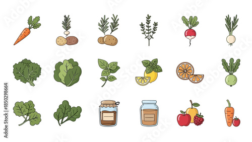 Set of Hand Drawn Fresh Organic Vegetables and Fruits.