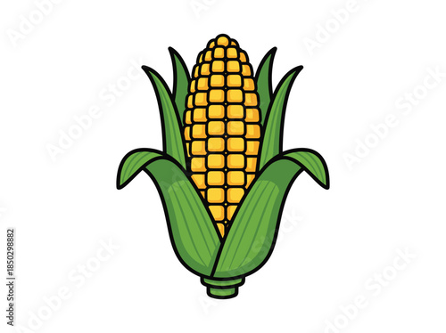 Yellow Corn on the Cob Illustration