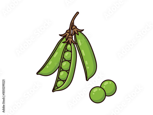 Green Peas Pod Illustration