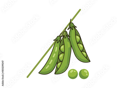 Green Peas Pod Illustration