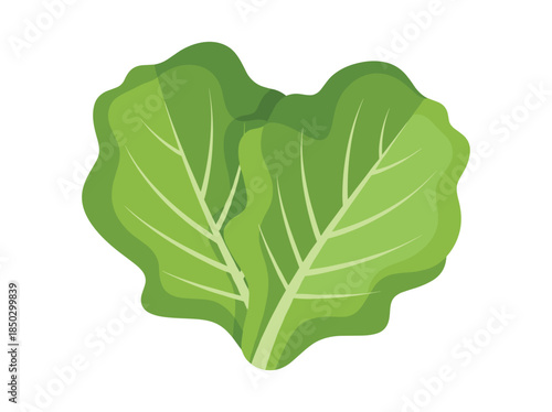Green Leafy Vegetable Illustration