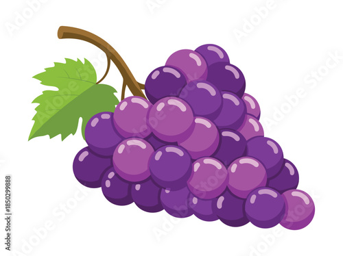 Purple Grapes with Green Leaf