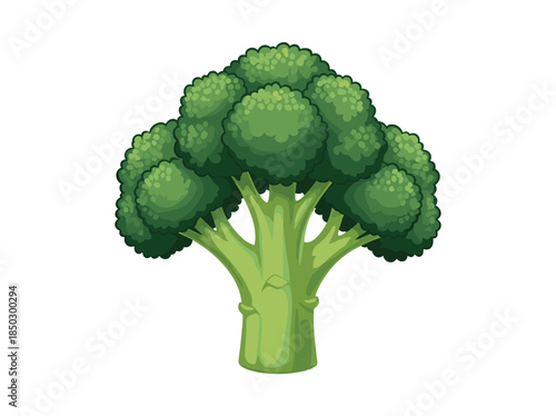Green Broccoli Vegetable Illustration