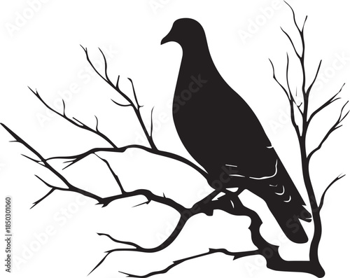 Dove wild bird silhouette on branch isolated on white background