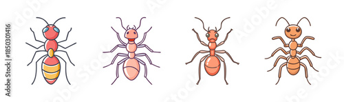 Colorful Illustrations of Different Ant Species and Body Structures