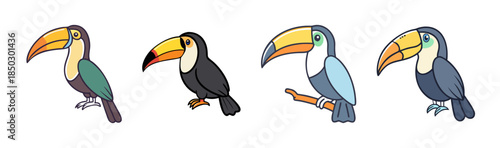 Colorful Toucan Birds with Distinctive Beaks and Plumage in Various Shades