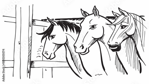 Very beautiful group of horses standing calmly inside a stable, representing equestrian care, rural farming traditions, and the quiet bond between livestock, shelter, and daily farm life.