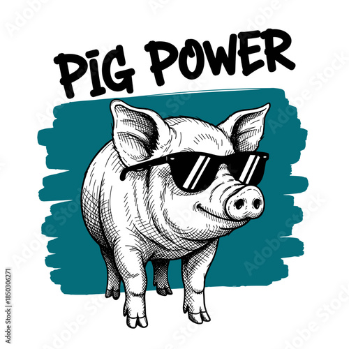 Свинья в солнцезащитных очках с надписью "PIG POWER"