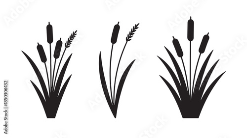 Elegant cattail plants in a black silhouette on transparent background