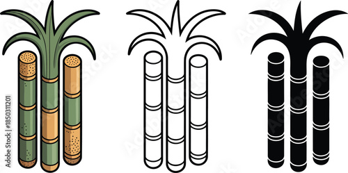 Sugarcane silhouette & Outline and illustration set isolated on transparent background 