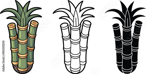 Sugarcane silhouette & Outline and illustration set isolated on transparent background 