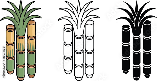 Sugarcane silhouette & Outline and illustration set isolated on transparent background 