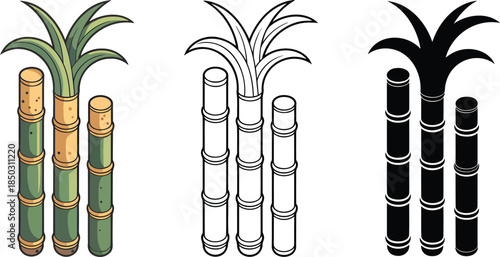 Sugarcane silhouette & Outline and illustration set isolated on transparent background 