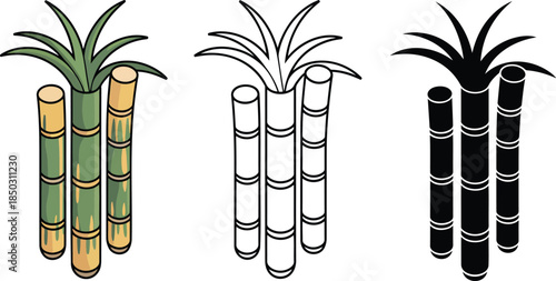 Sugarcane silhouette & Outline and illustration set isolated on transparent background 