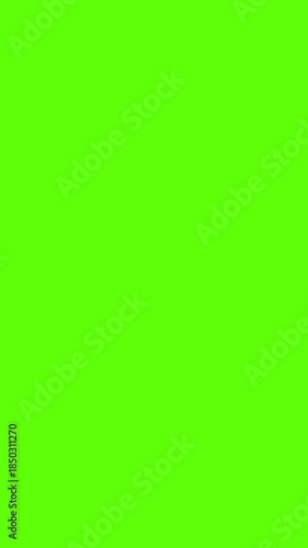 Follow Button Transformation Animation for Vertical Videos | Chroma Key 4K