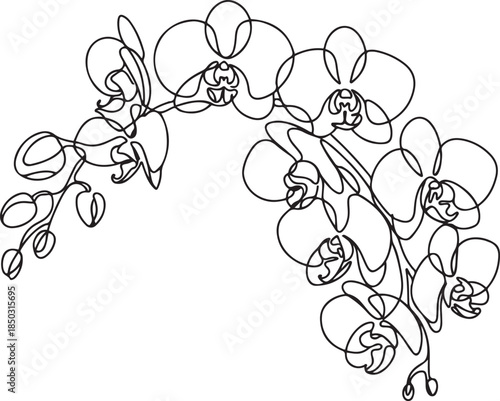 Phalaenopsis Orchid Flowers Continuous Line Drawing with Editable Stroke, Beautiful orchids line art pattern, one line Art icon drawing