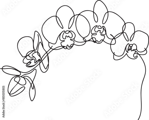 Phalaenopsis Orchid Flowers Continuous Line Drawing with Editable Stroke, Beautiful orchids line art pattern, one line Art icon drawing