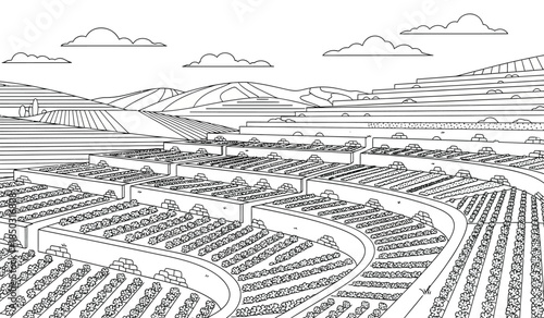 a detailed line drawing depicts a sprawling vineyard landscape with neat rows of grapevines and distant rolling hills under a cloudy sky