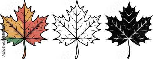 Maple leaf silhouette & Outline and illustration set isolated on transparent background