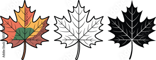 Maple leaf silhouette & Outline and illustration set isolated on transparent background