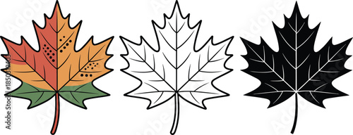 Maple leaf silhouette & Outline and illustration set isolated on transparent background