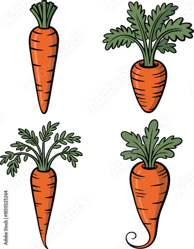 Carrot colorful illustration set isolated on transparent background