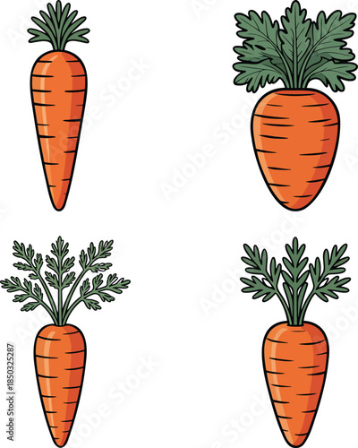 Carrot colorful illustration set isolated on transparent background