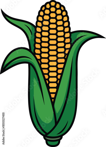 Corncob colorful illustration isolated on transparent background
