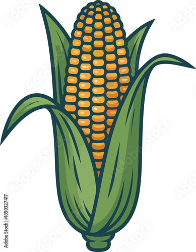Corncob colorful illustration isolated on transparent background