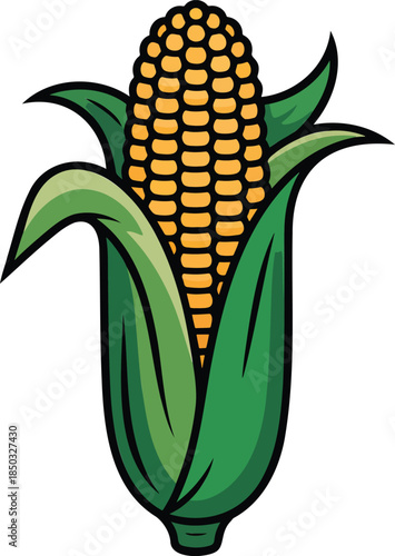 Corncob colorful illustration isolated on transparent background
