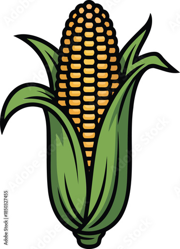 Corncob colorful illustration isolated on transparent background
