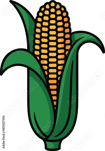 Corncob colorful illustration isolated on transparent background