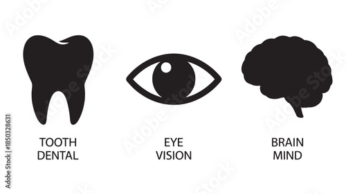 Tooth, Eye, and Brain Silhouettes in Simple Flat Design with Black Color on White Background for Health and Wellness Illustration
