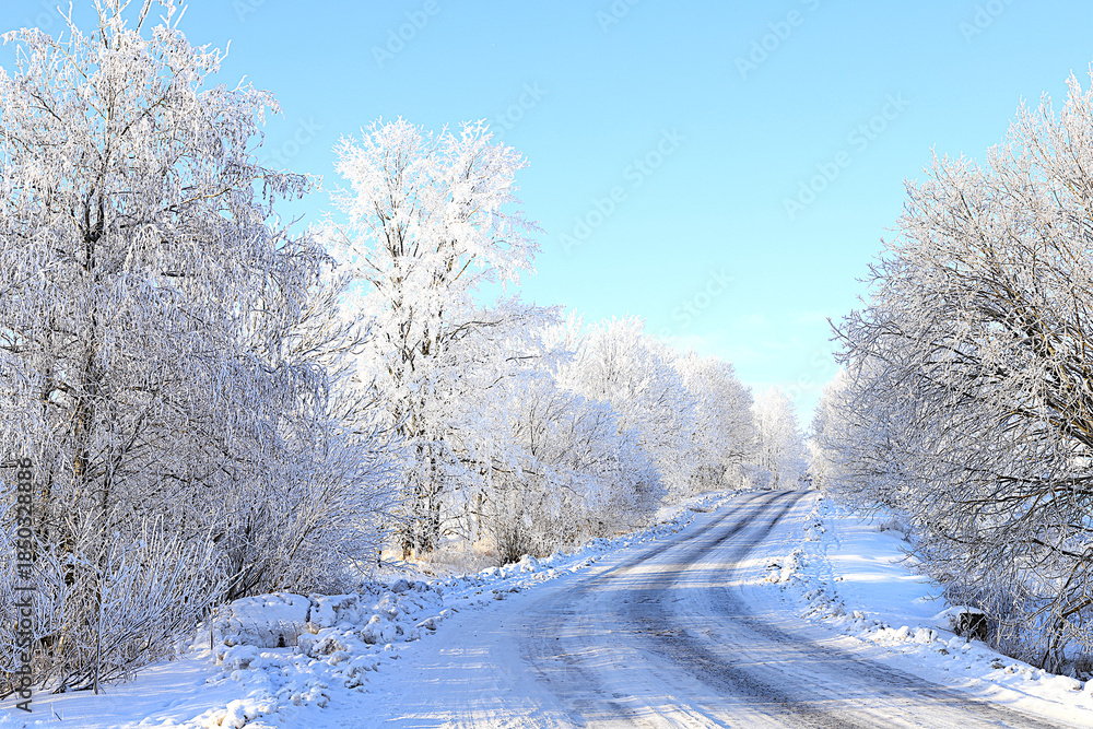 Obraz premium Fabulous beautiful trees in a thick layer of frost and snow during a severe frost along the road.Winter landscape in central Russia.Beautiful winter invitation card for tourists.