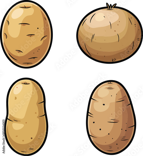 Potato colorful illustration set isolated on transparent background